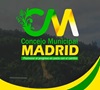 concejo municipal madrid