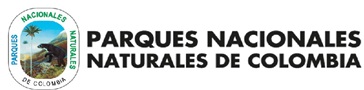 pnn